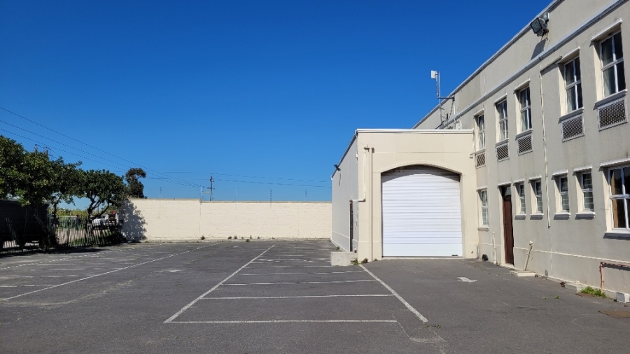 To Let commercial Property for Rent in Airport Industria Western Cape